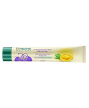 Himalaya Head to Toe Baby Wash with Pure Cow Ghee - 400 ml & Himalaya Baby Rash Relief Cream With Pure Cow Ghee - 20 g