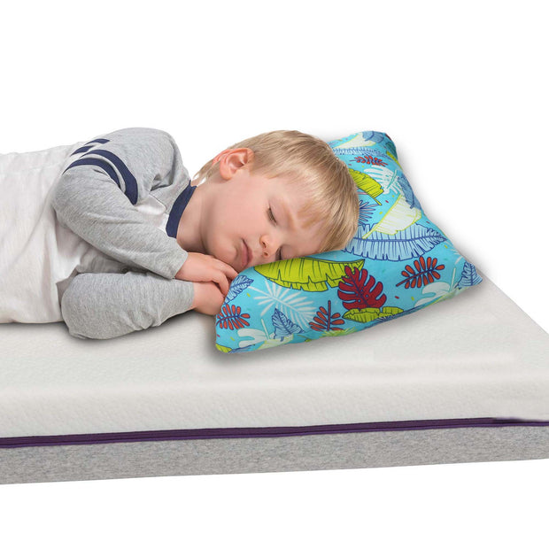 Pharoh Toddler Pillows with 100% Cotton Removable cover - 20 X 15 Inches | Children Pillows