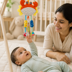 Soft Hanging Crinkle Rattle Sensory Toy for Babies with Teether (0–12 Months) - Crab