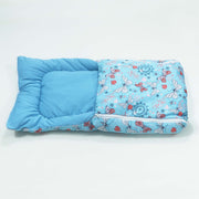 Blue Butterfly Baby Sleeping Bag N Carrier