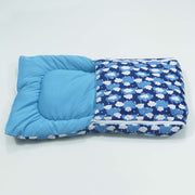 Blue Clouds Baby Sleeping Bag N Carrier