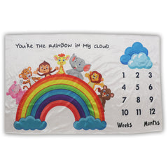 Rainbow Cloud - Milestone Blanket Quilt with 6 Milestone Cards and Markers (Copy)