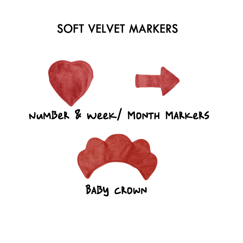 Rainbow Cloud - Milestone Blanket Quilt with 6 Milestone Cards and Markers (Copy)