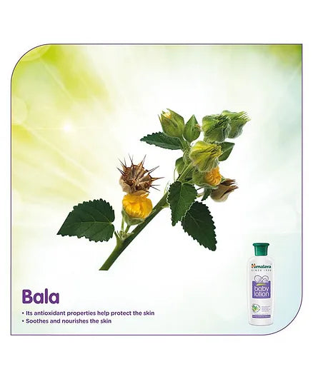 Himalaya Herbal Baby Lotion - 400 ml & Baby Cream - 200 ml