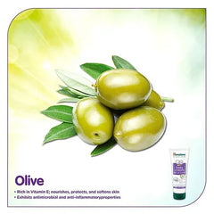 Himalaya Herbal Baby Lotion - 400 ml & Baby Cream - 200 ml