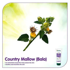 Himalaya Herbal Baby Lotion - 400 ml & Baby Cream - 200 ml