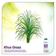 Himalaya Herbal Baby Powder - 400 gm & Baby Cream - 200 ml