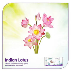 Himalaya Herbal Baby Powder - 400 gm & Gentle Baby Wipes - 72 Pieces