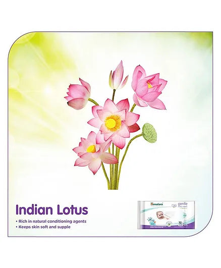 Himalaya Herbal Baby Powder - 400 gm & Gentle Baby Wipes - 72 Pieces