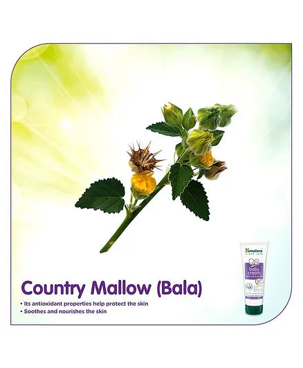 Himalaya Herbal Baby Cream - 200 ml ( Pack of 2)