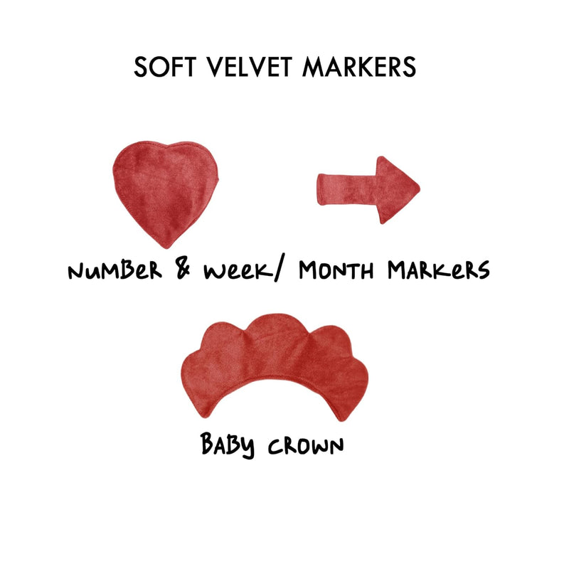 Bed of Roses- Milestone Blanket Quilt with 6 Milestone Cards and Markers