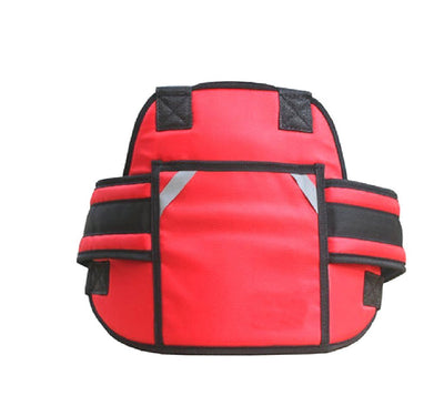 Scooter Safety Belt