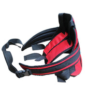 Scooter Safety Belt