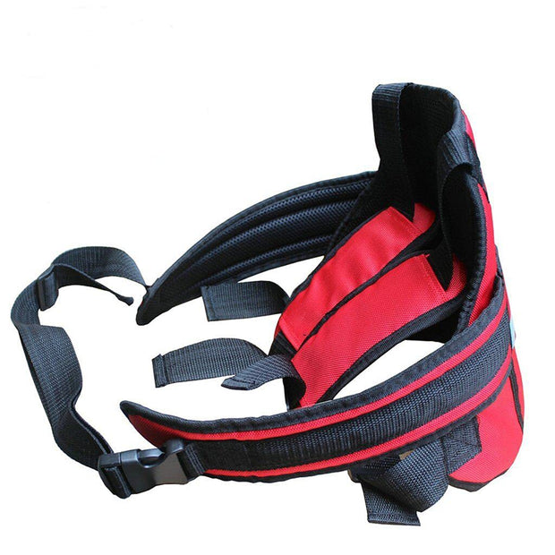 Scooter Safety Belt
