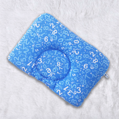 Einstein Blue New Born Pillow | Baby Pillow | Head Shaping Pillow